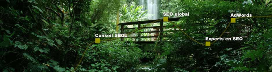 seonative agence SEO